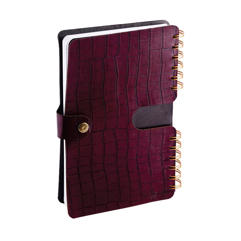 عکس اصلی سالنامه اروپایی سال 1405 کد 505